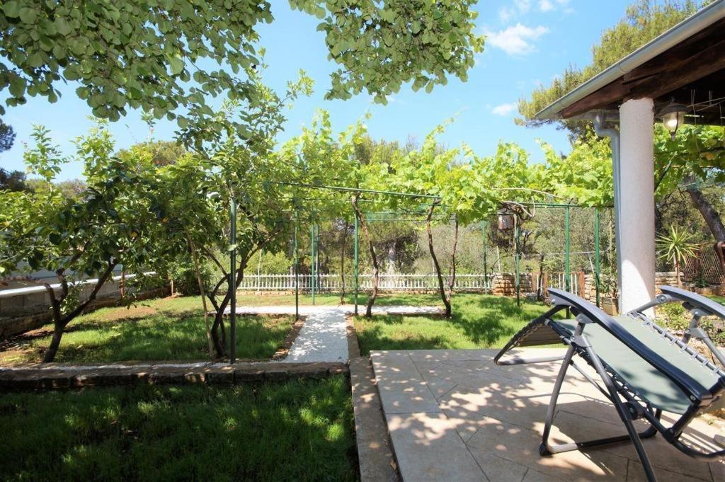 Apartman Deni